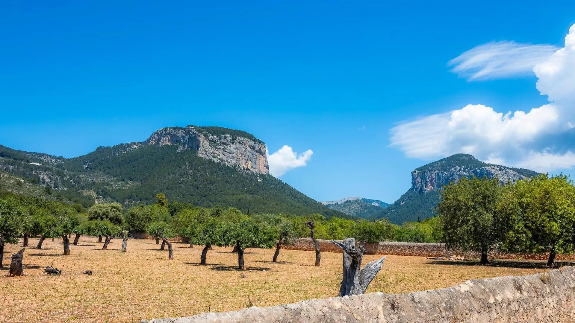 Son Fransi Alaro Villa Holiday home